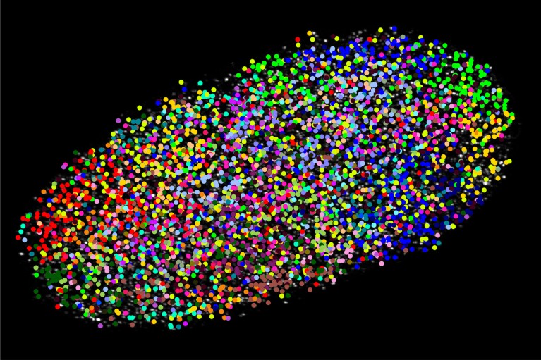 Small multi-coloured dots make up the shape of an oval on a black background