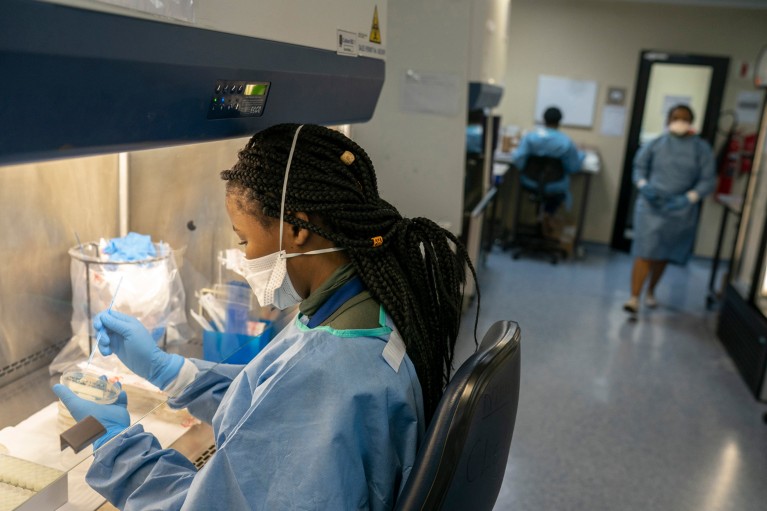 A technician handles a Petri dish with colonies of tuberculosis strains at a research centre in South Africa