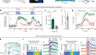 Causal evidence of a line attractor encoding an affective state