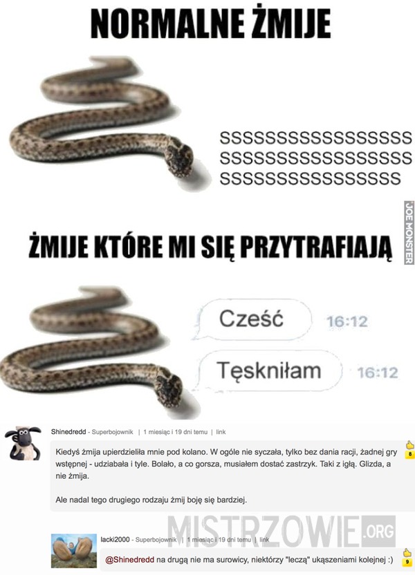 Żmije –  