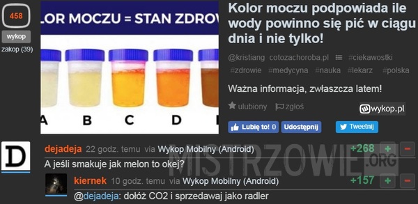 Mocz –  