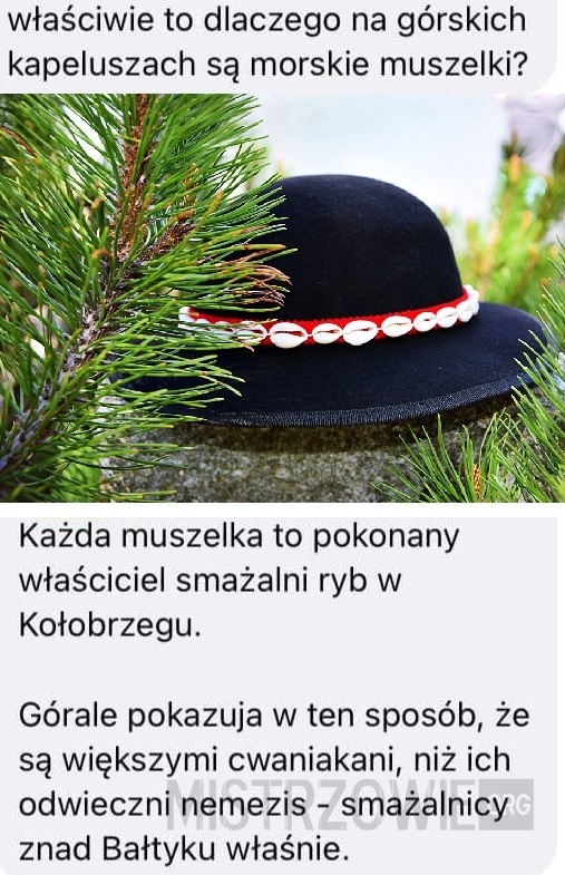 Muszelki –  