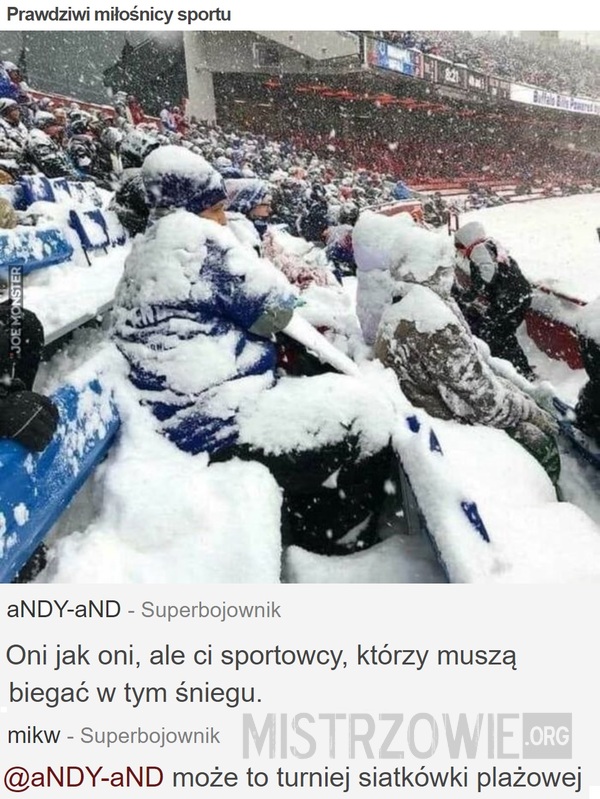 Prawdziwi miłośnicy sportu –  