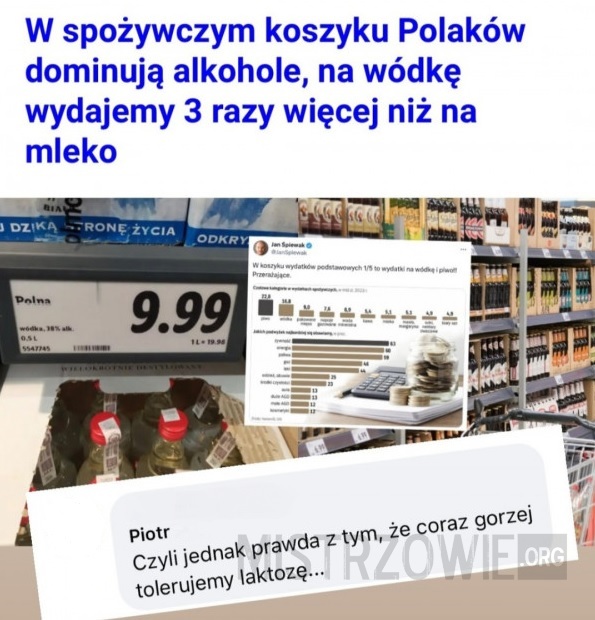 Spożywczy koszyk –  