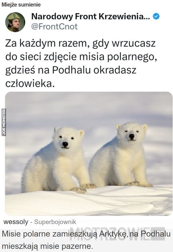 Miejże sumienie –  