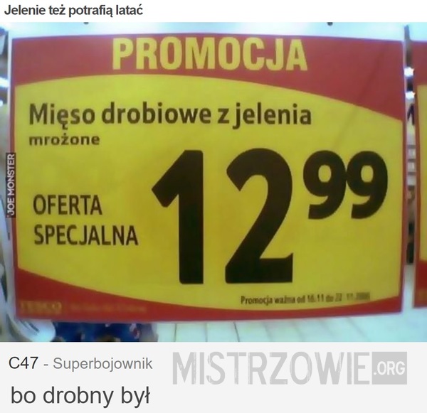 Jelenie też potrafią latać –  