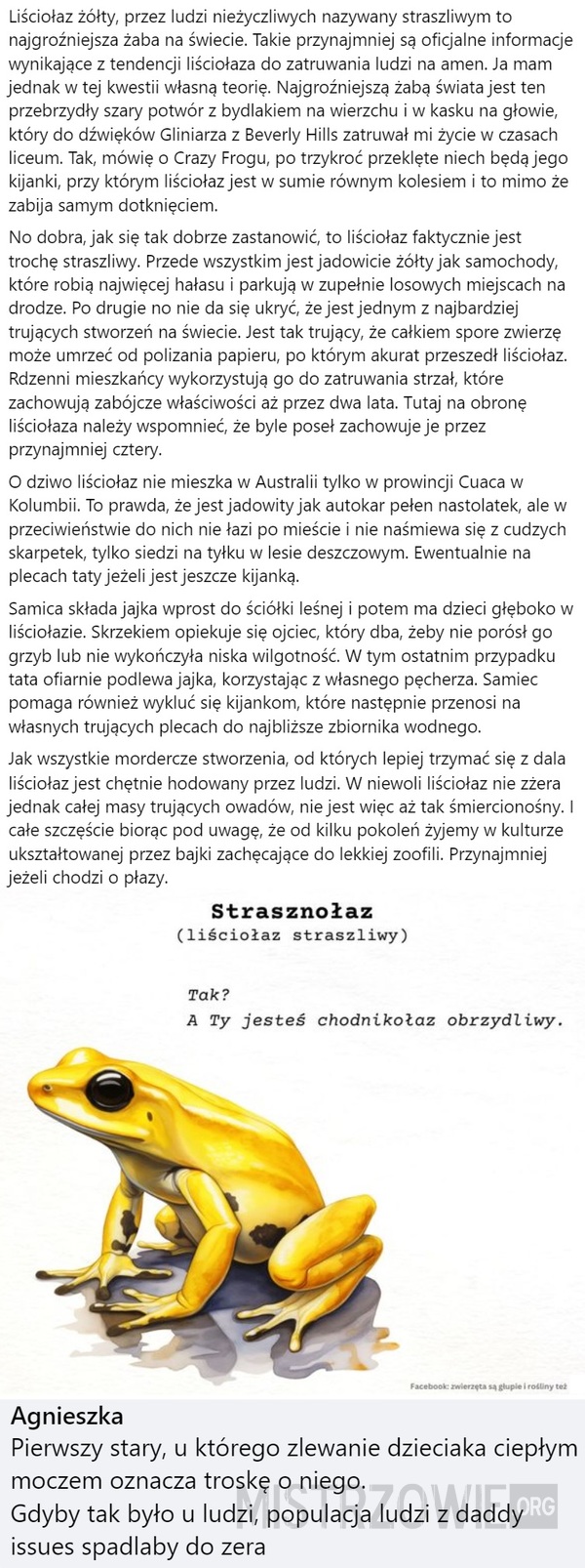 Liściołaz żółty –  