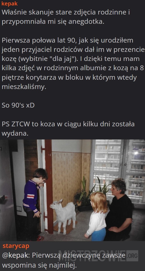 Zdjęcie –  