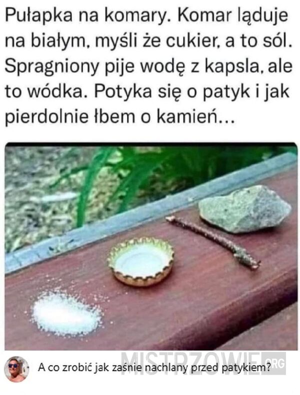 Pułapka na komary –  