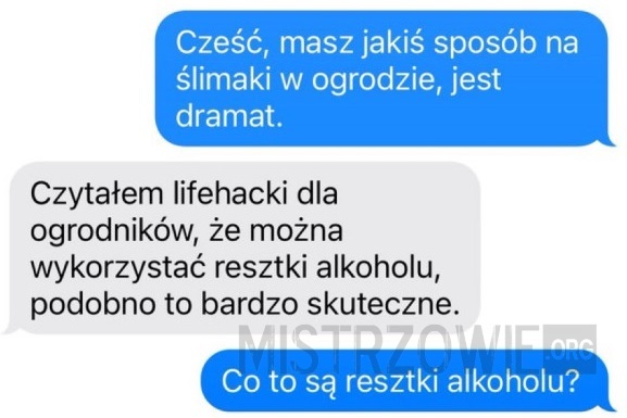 Ślimaki –  