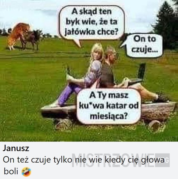 Jałówka –  