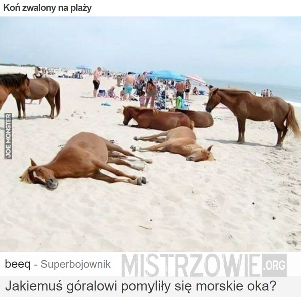 Koń zwalony na plaży –  