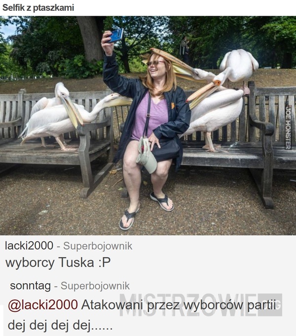 Selfik z ptaszkami –  