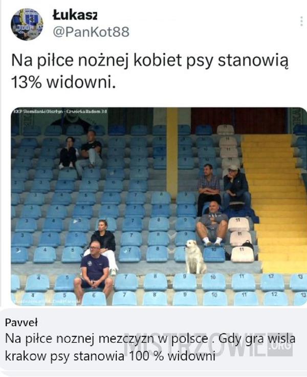 Publiczność –  