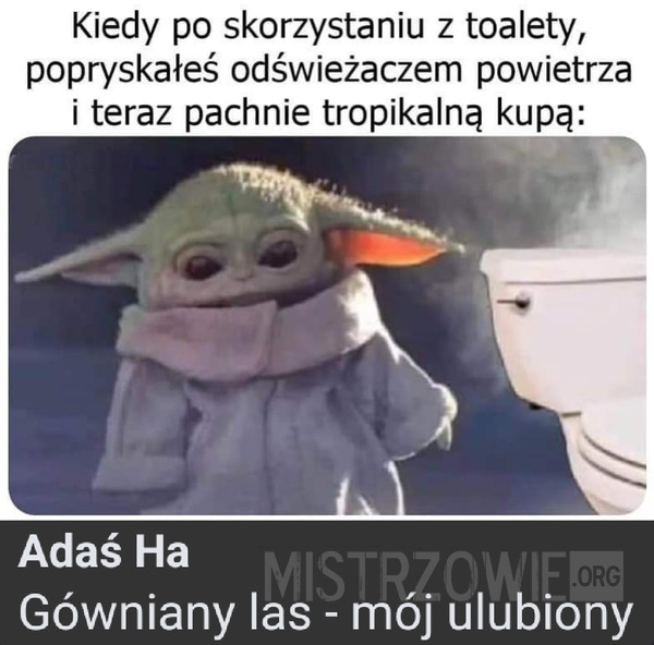 Po skorzystaniu z toalety –  