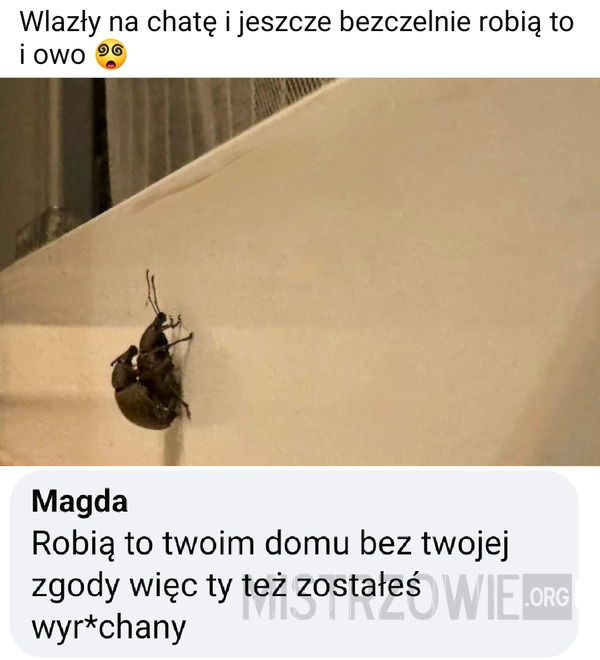 Co się dzieje w domu, zostaje w domu –  