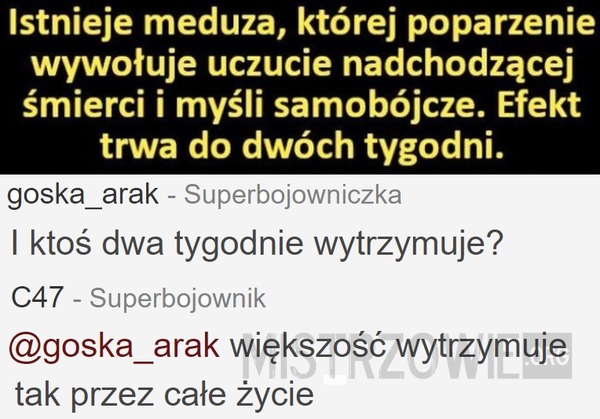 Tak, sa takie meduzy –  