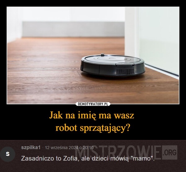 Nazwa robota –  