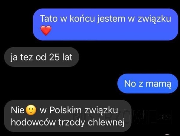 Związek –  