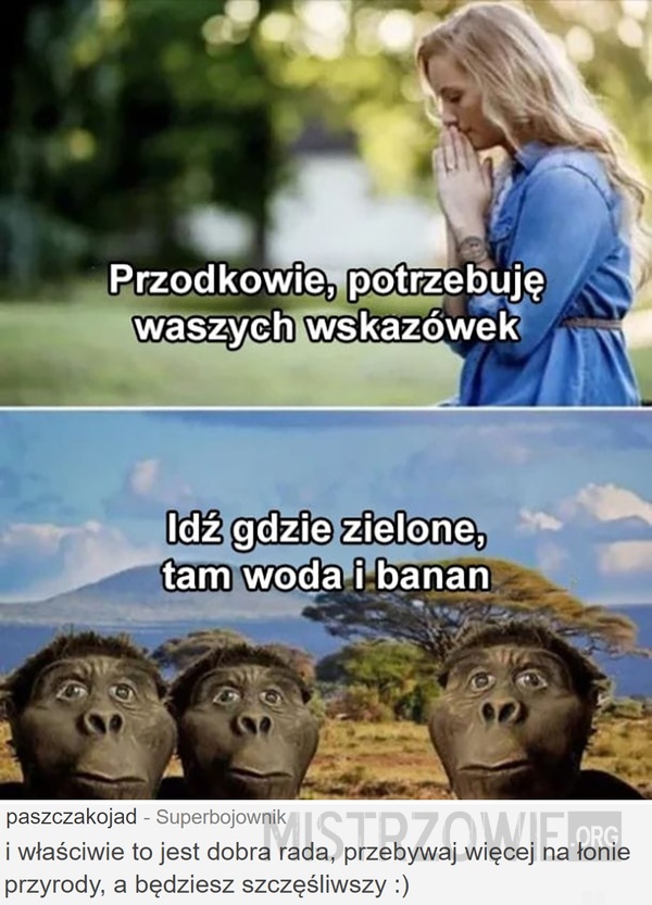 Wskazówki –  