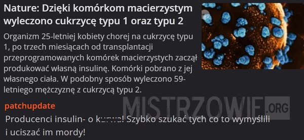 Komórki macierzyste –  