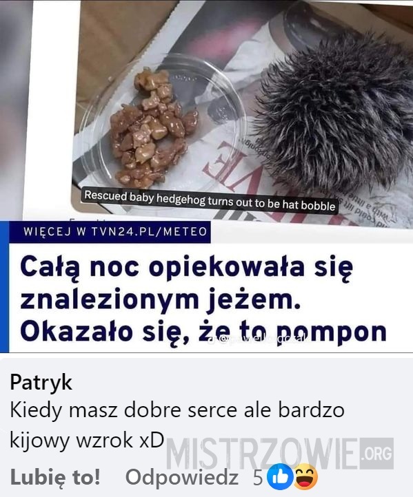 Jeż –  