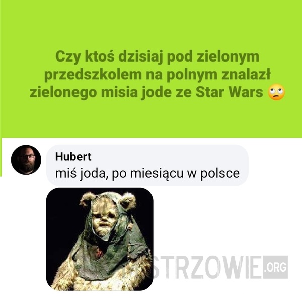 Miś Yoda –  