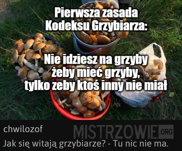 Grzyby –  