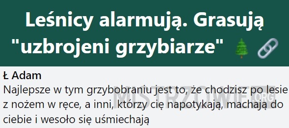 Grzybiarze –  