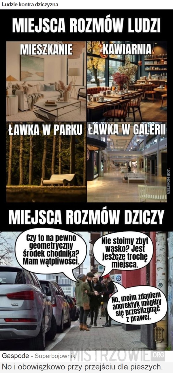 Ludzie kontra dziczyzna –  