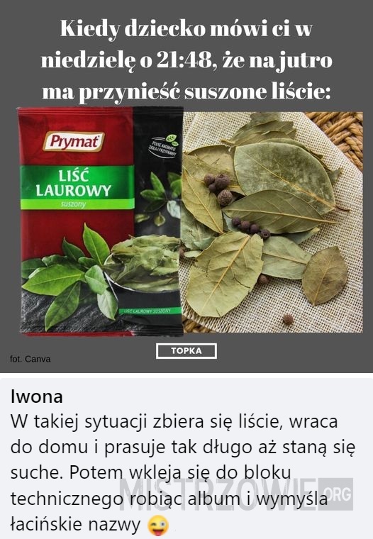 Liście –  