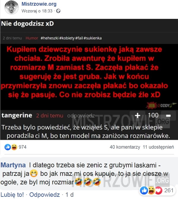 Nie dogodzisz 2 –  