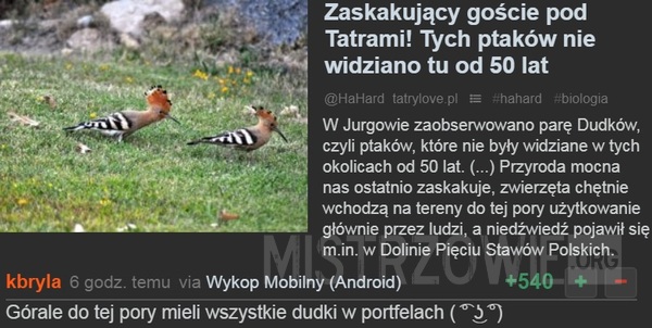 Zaskakujący goście –  