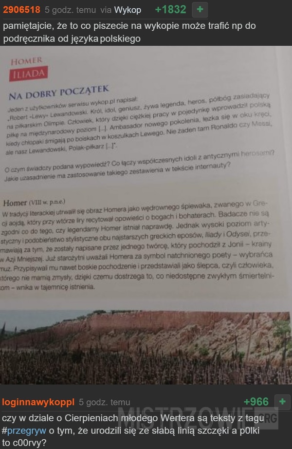 Podręcznik –  