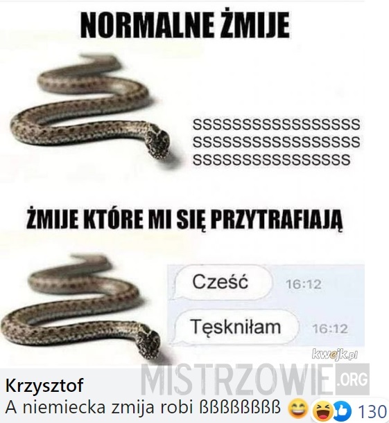 Żmije –  