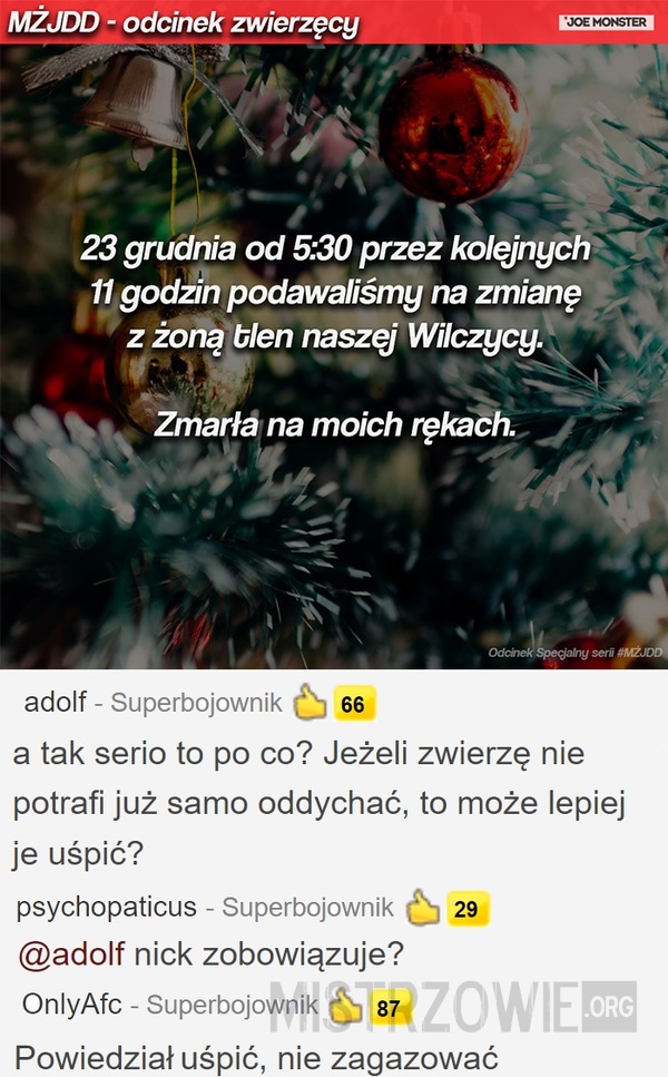 Wilczyca –  