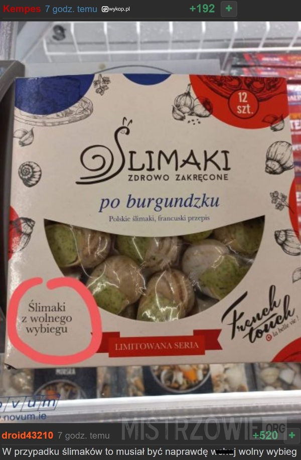 Ślimaki –  