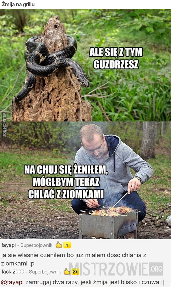 Żmija na grillu –  