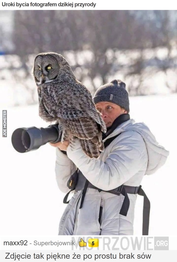 Uroki bycia fotografem dzikiej przyrody –  