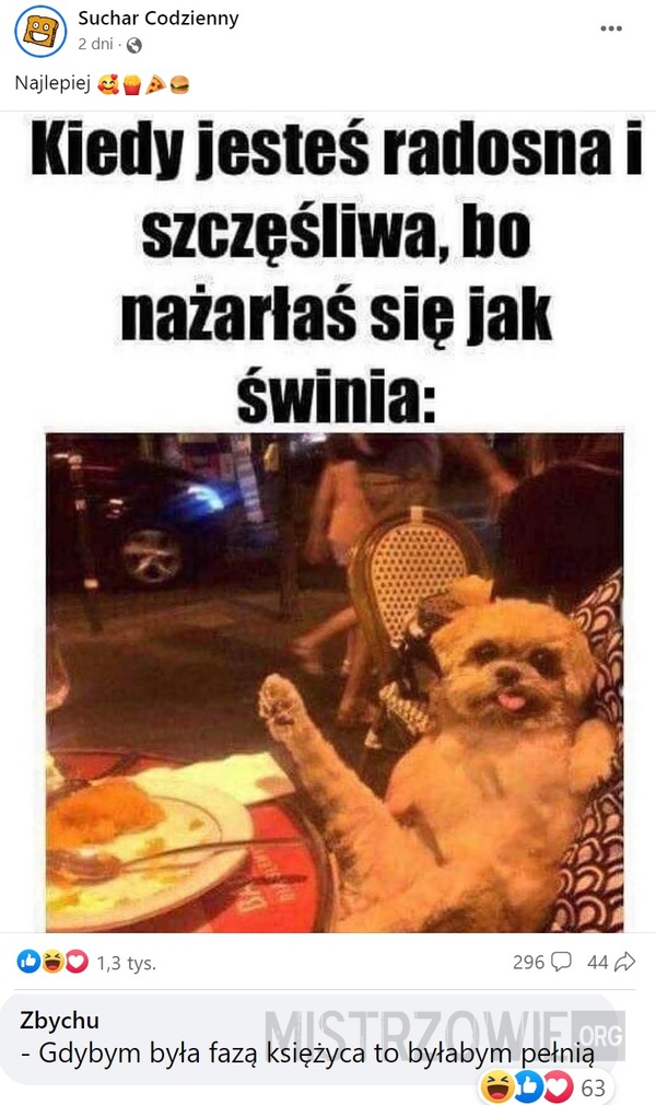 Jak świnia –  