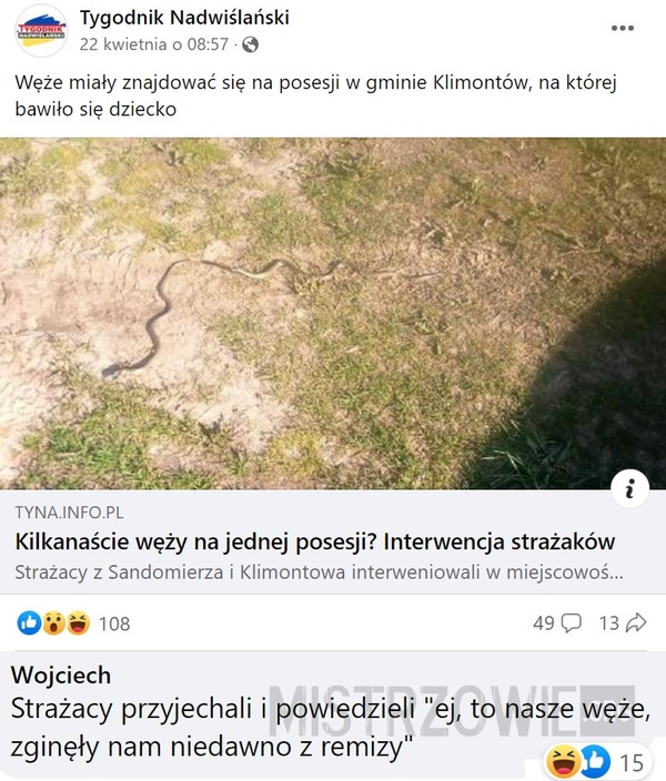 Węże –  