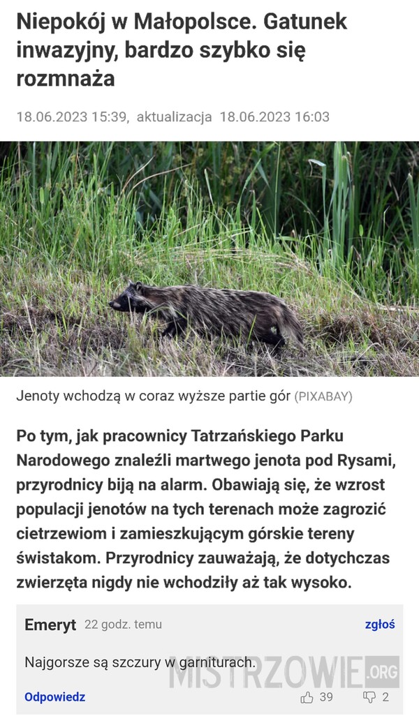 Gatunek inwazyjny –  