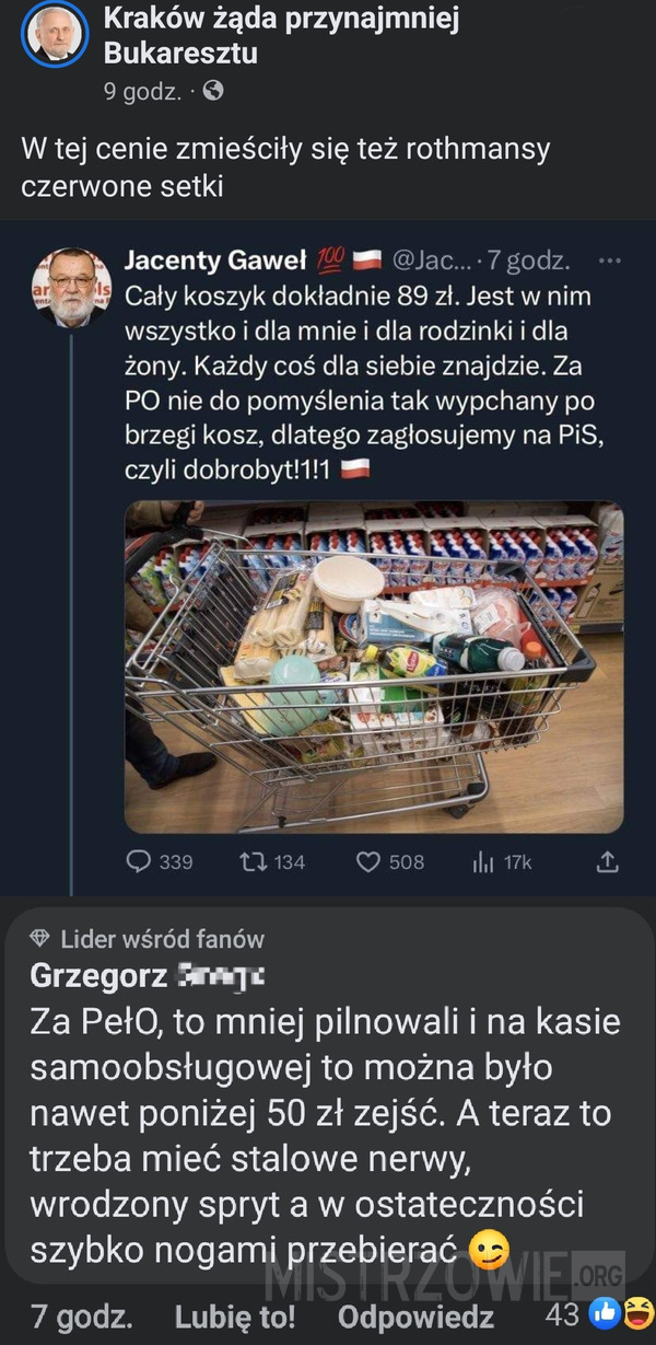 Koszyk zakupów –  