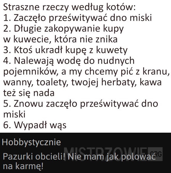 Straszne rzeczy według kotów –  