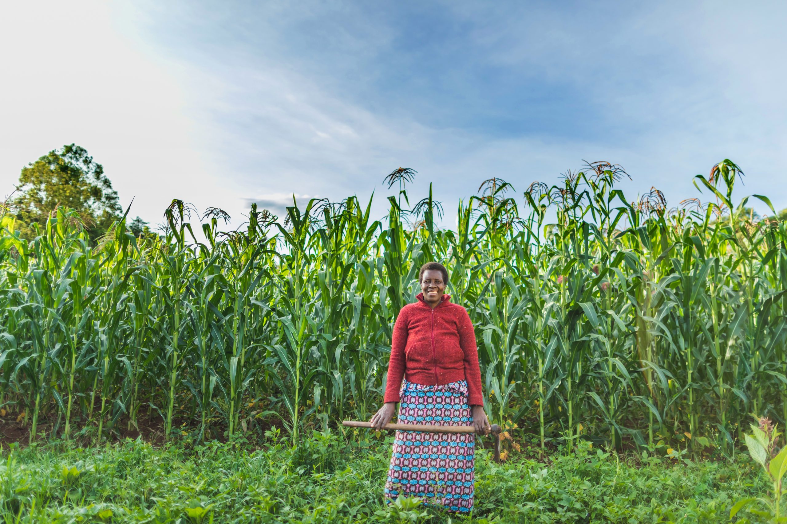 Farmer Organizations in Kenya Transform Communities