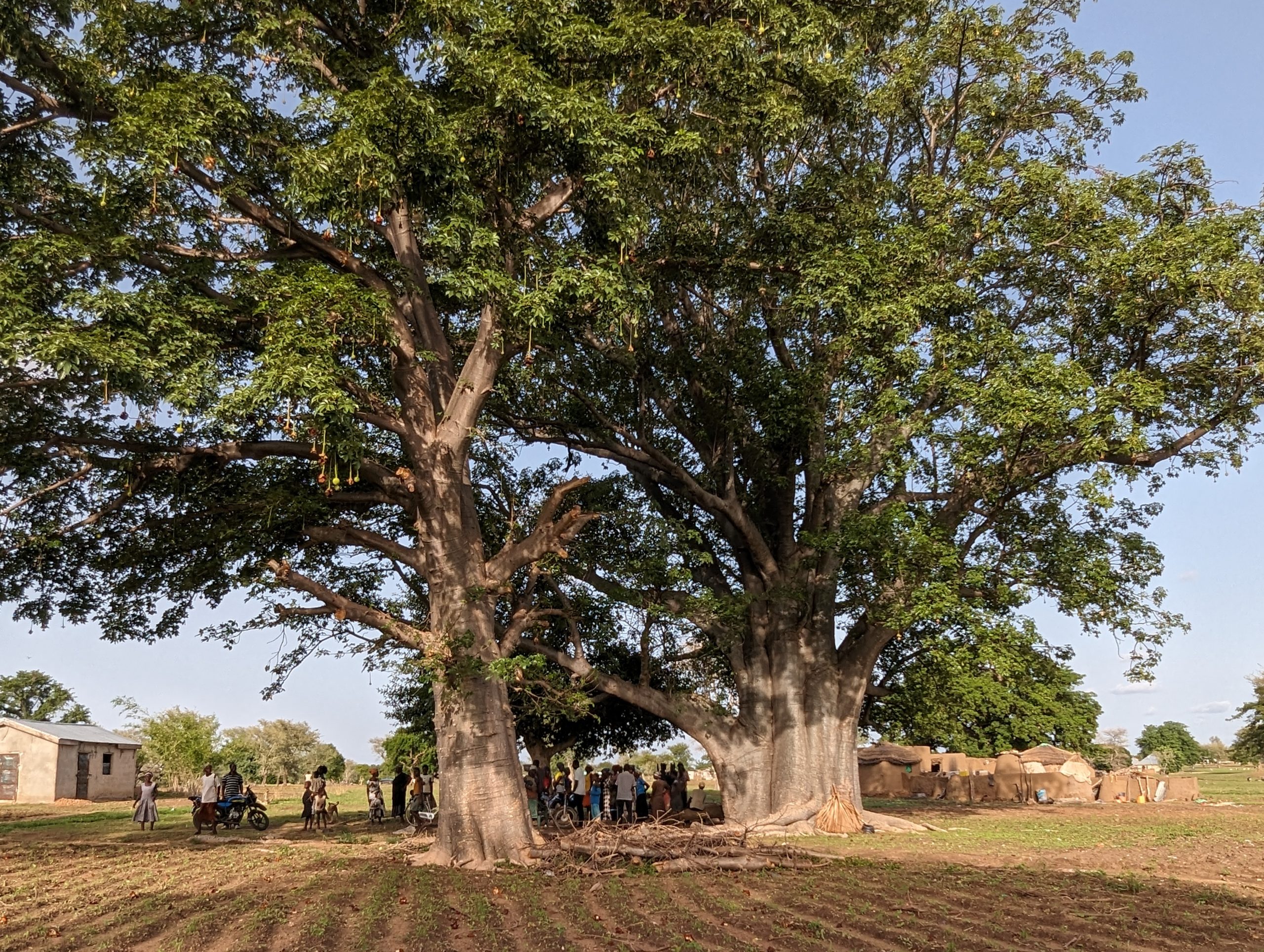 Nuru Ghana Builds Resilience in Upper East Region of Ghana