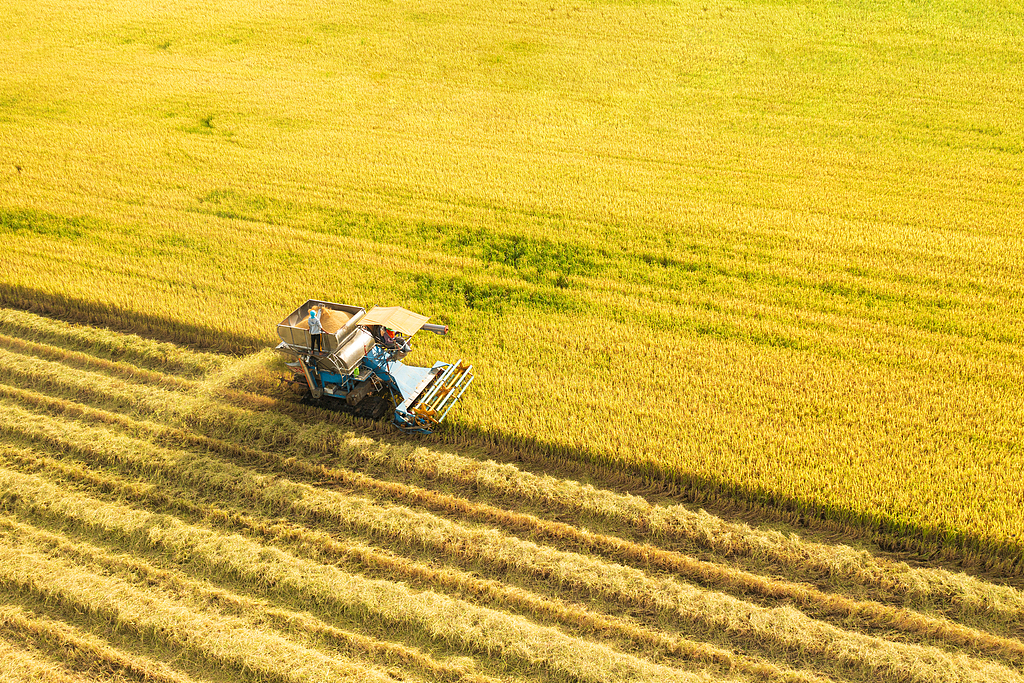 Landwirtschaftsstudenten setzen das Gelernte bei der Anpflanzung fruchtbarer Böden um