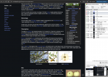 screenshot 398.png (1×1 px, 802 KB)