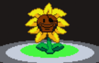 Demoflowey say