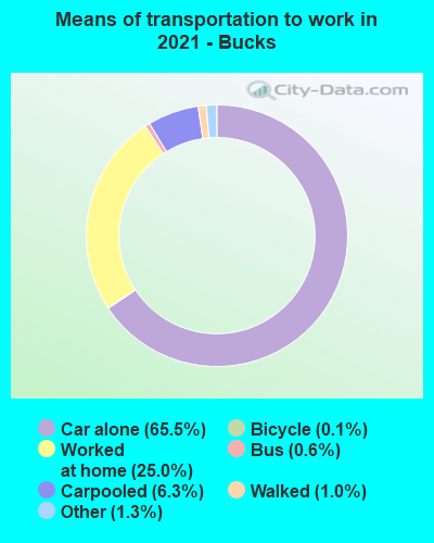 Means of transportation to work in 2022 - Bucks